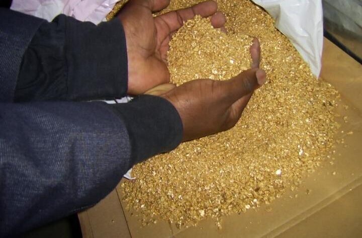 Projects gold pic (2)